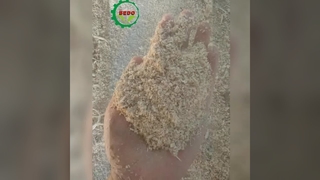 Veilige houtzaagselmachine met overbelastingsbeveiliging en noodstop